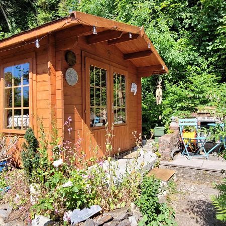 Tan Y Coed'S Rosemary Cabin Conwy Luaran gambar