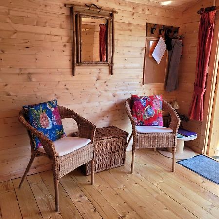Tan Y Coed'S Rosemary Cabin Conwy Luaran gambar