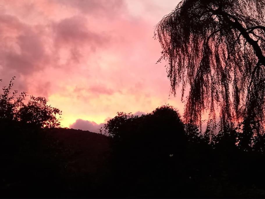 Tan Y Coed'S Rosemary Cabin Conwy Luaran gambar