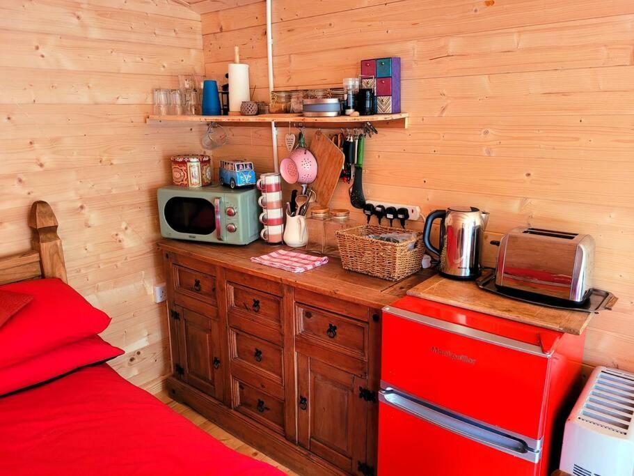 Tan Y Coed'S Rosemary Cabin Conwy Luaran gambar