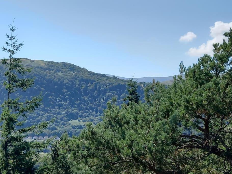 Tan Y Coed'S Rosemary Cabin Conwy Luaran gambar