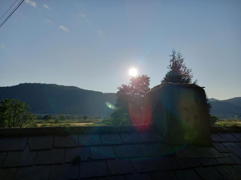 Tan Y Coed'S Rosemary Cabin Conwy Luaran gambar