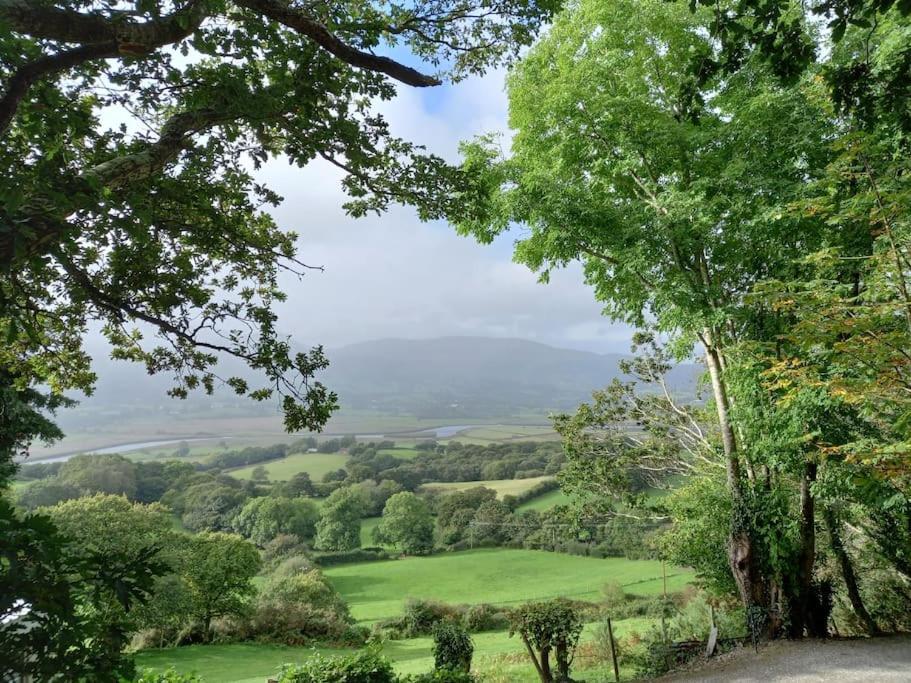 Tan Y Coed'S Rosemary Cabin Conwy Luaran gambar