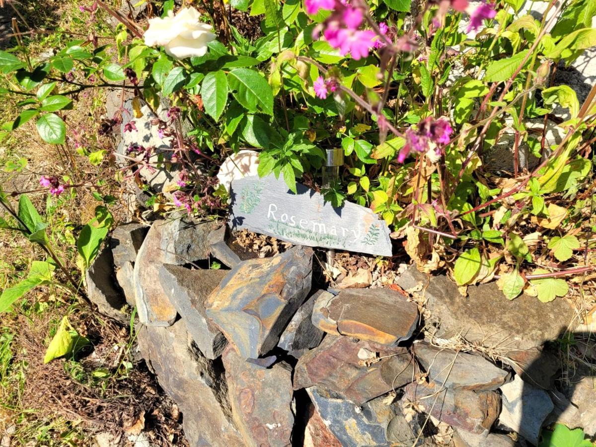 Tan Y Coed'S Rosemary Cabin Conwy Luaran gambar