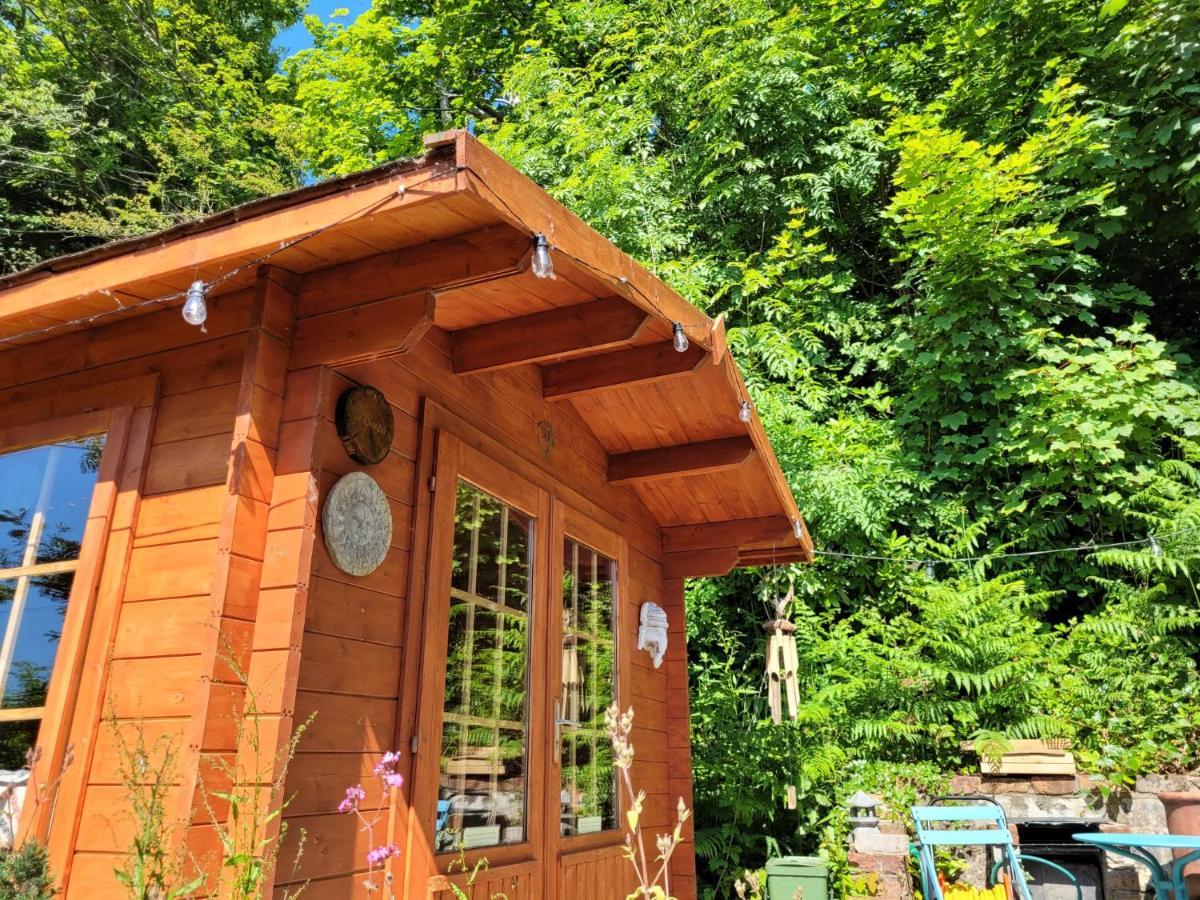 Tan Y Coed'S Rosemary Cabin Conwy Luaran gambar
